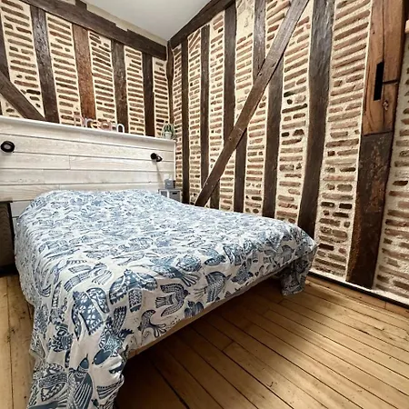 Apartment Coeur Du Vieux-tours - 2 Couchages - Climatise