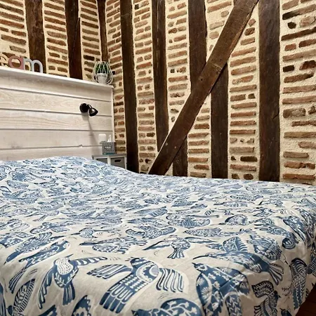 Apartment Coeur Du Vieux-tours - 2 Couchages - Climatise Tours