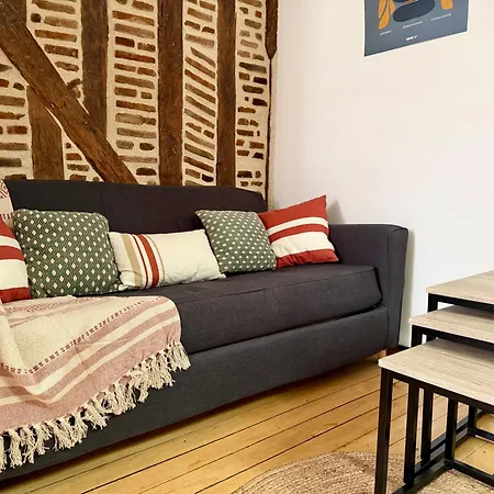 Coeur Du Vieux-tours - 2 Couchages - Climatise Apartment Tours